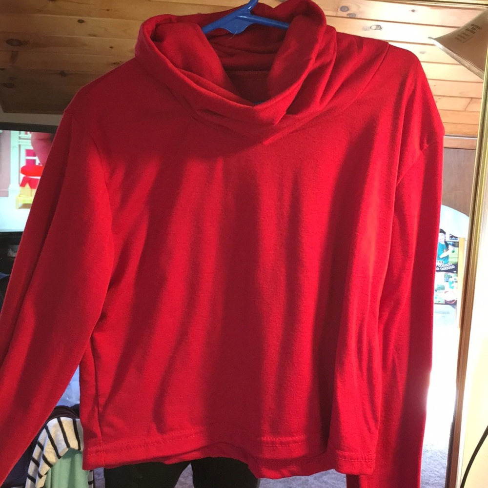 Long sleeve turtle neck crop top